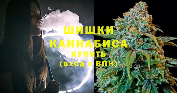 PSILOCYBIN Балабаново