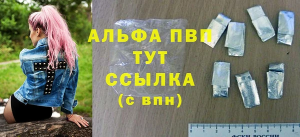 PSILOCYBIN Балабаново