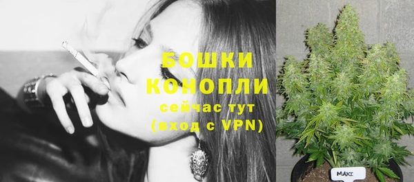 PSILOCYBIN Балабаново